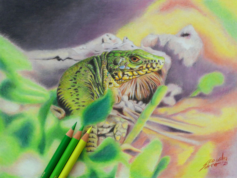 Claudias Artwork  Drawing material for realistic pencil drawings